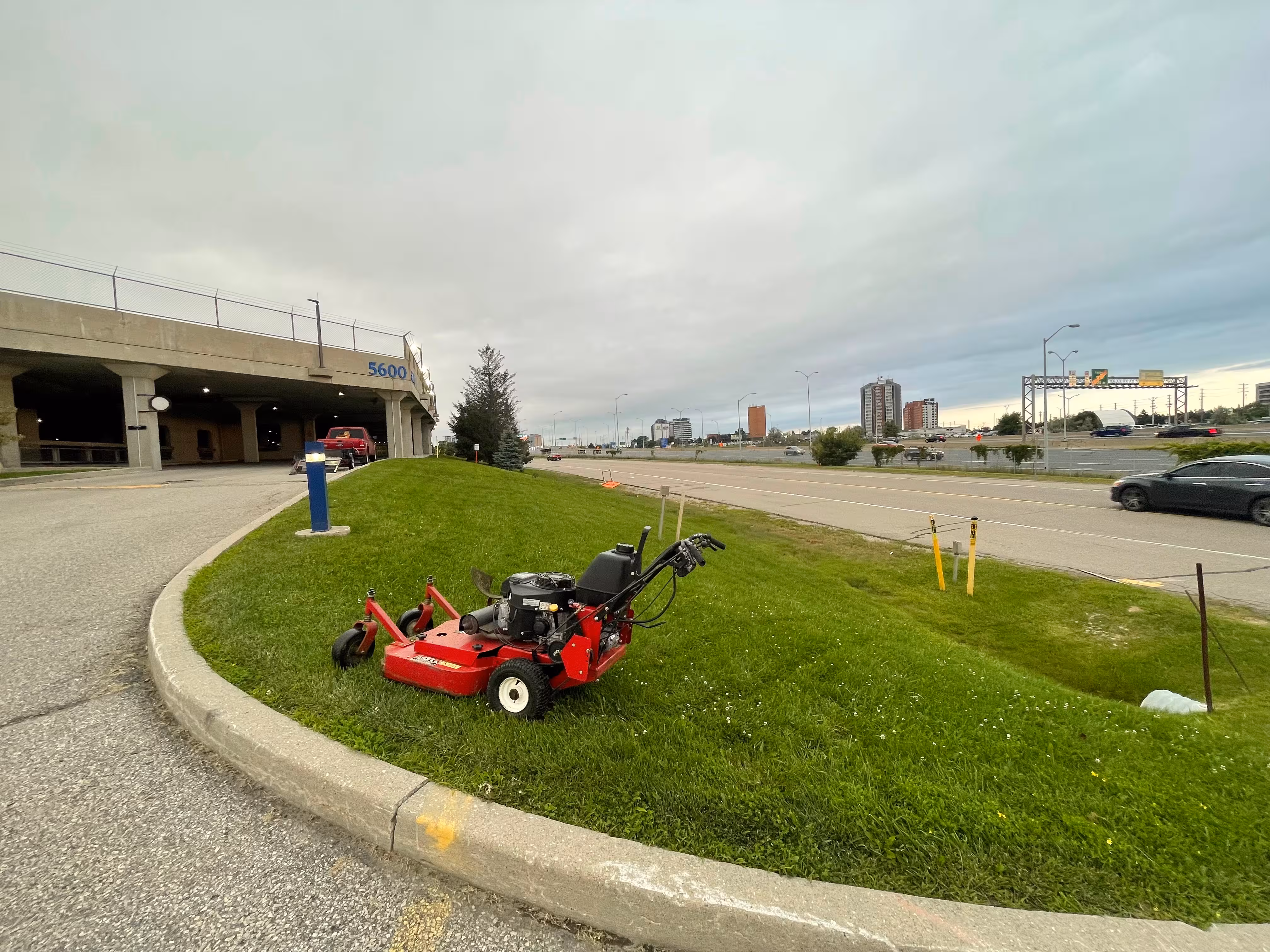 Well-maintained commercial frontage with trimmed shrubs and clean walkways