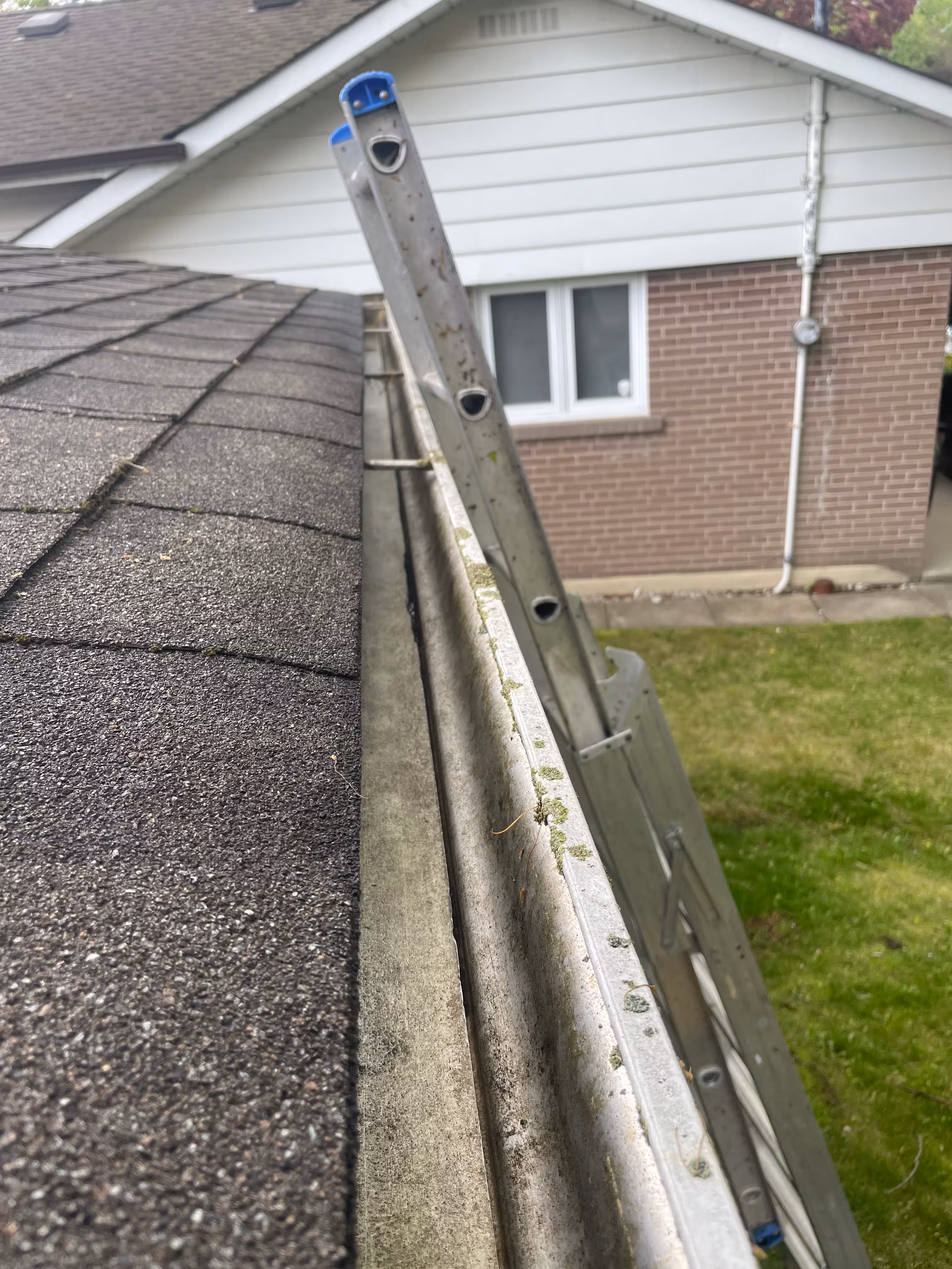 Technician clearing leaves from a home's eavestrough with ladder and gloves
